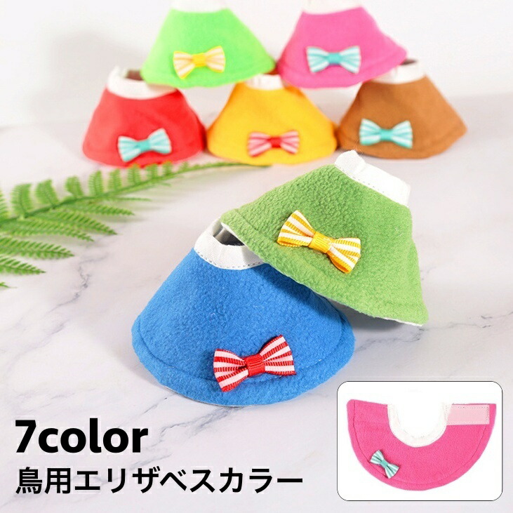 *＊ ハンドメイド　小鳥用　エリザベスカラー ＊* しっかりタイプ 20240903094720_8.jpg