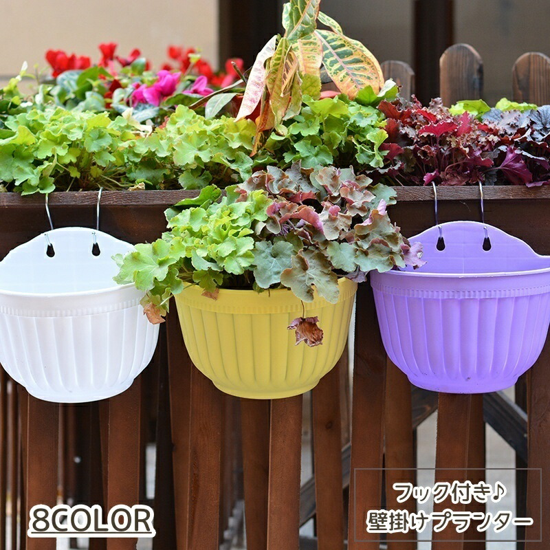 楽天市場】リッチェル 植木鉢 ソレシア 壁かけ N 28型 ｜ 鉢 ポット