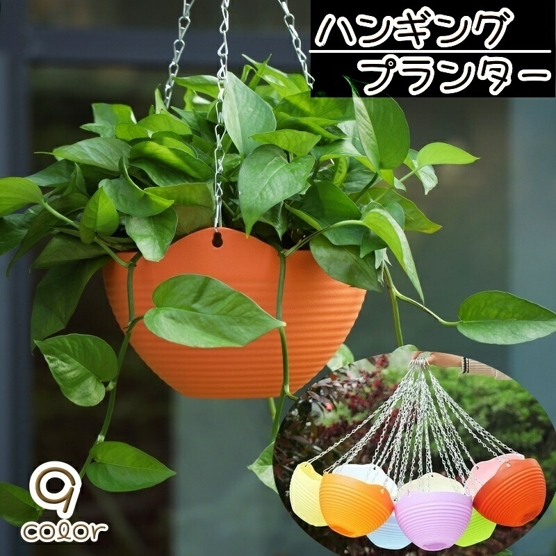 LUCKYBUNNY かわいいナマケモノハンギングプランター セラミックフラワーポットプラントホルダー 多肉植物、サボテン、空気植 並行輸入品 ハンギングプランター プラントハンガー ハンギング おしゃれ かわいい
