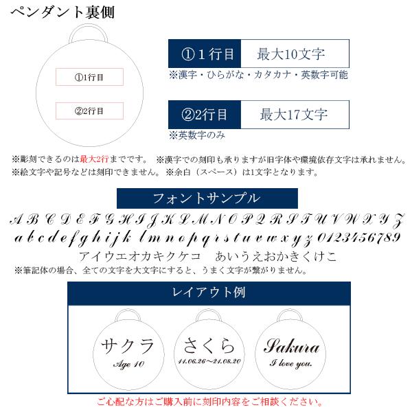 最旬ダウン モダンサークルストーンペンダント 両面刻印 全2色 遺骨ペンダント ステンレス製 防水 名入れ ペットロス 遺骨カプセル 遺骨キーホルダー  遺骨アクセサリー ペット骨入れ 分骨 骨壺 仏具 犬 猫 うさぎ 小鳥 手元供養 メモリアルグッズ 遺毛 qdtek.vn