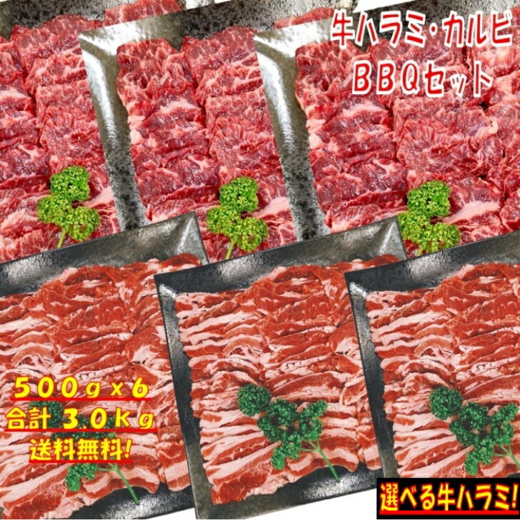 最大73％オフ！ 焼き肉 バーベキュー 食材 3kg BBQ 肉 焼肉セット 牛バラ 牛カルビ 牛ハラミ バーベキューセット BBQ食材セット 焼肉 牛丼  牛肉 送料無料 8〜12人前 fucoa.cl