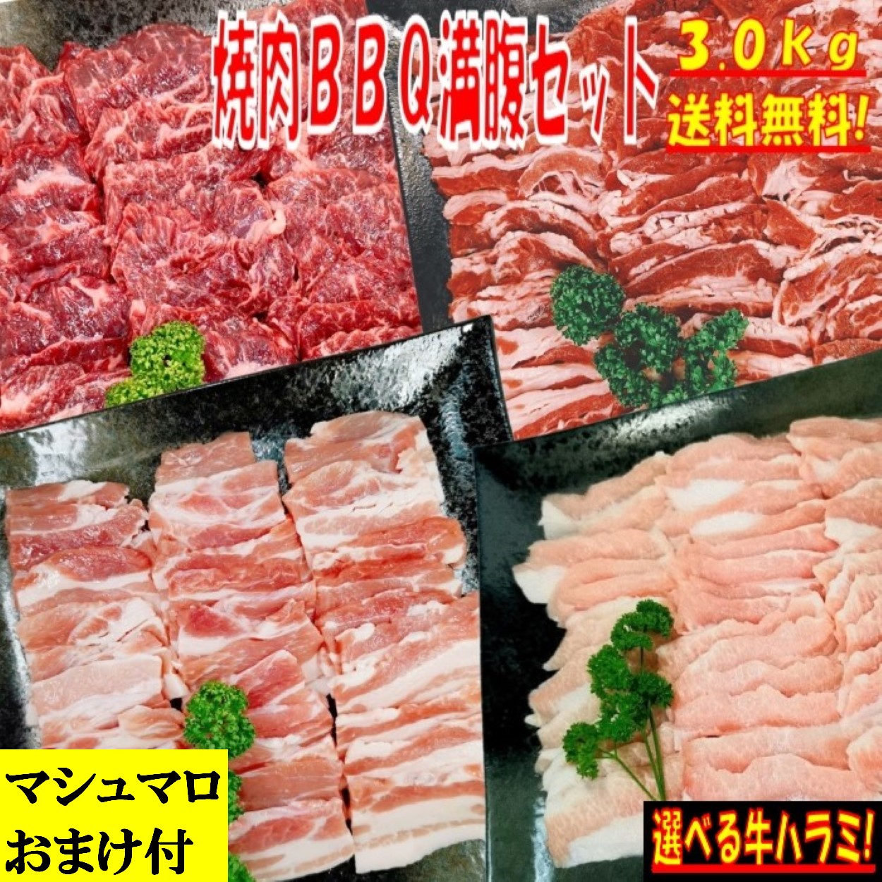 焼き肉 バーベキュー 食材 【マシュマロおまけ付】 3kg BBQ 肉 焼肉セット 牛カルビ 牛バラ 牛ハラミ 豚カルビ 豚バラ 豚トロ バーベキュー 肉 BBQ食材セット BBQ 食材 焼肉 豚肉 牛丼 牛肉 送料無料 8～12人前