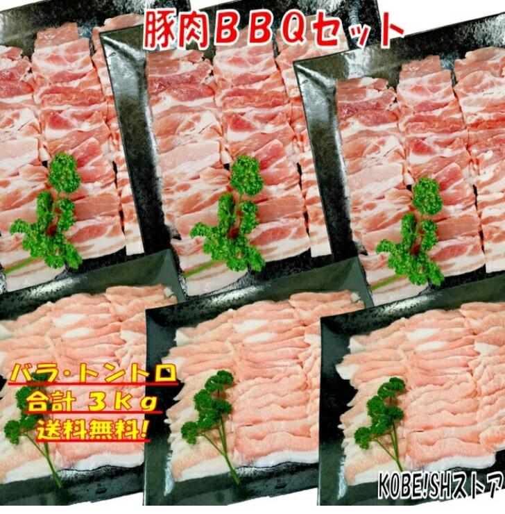 焼き肉 バーベキュー 食材 3kg BBQ 肉 焼肉セット 豚カルビ 豚バラ バーベキュー 肉 バーベキューセット 食材 BBQ食材セット 豚トロ 焼肉 豚肉 豚丼 送料無料 8～12人前
