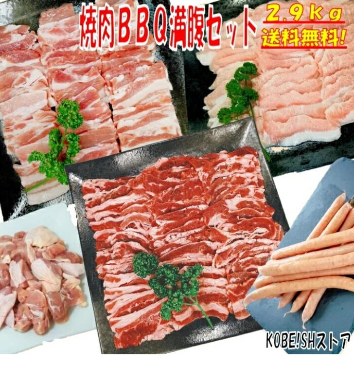 焼肉セット バーベキュー 食材 2.9kg バーベキュー 肉BBQ 肉 焼き肉セット 牛カルビ 牛バラ 豚カルビ 豚バラ 鶏もも肉 バーベキュー 肉 豚トロ ウインナー ソーセージ BBQ 食材 ホームパーティー 焼肉 豚肉 鶏肉 牛肉 送料無料 8～12人前
