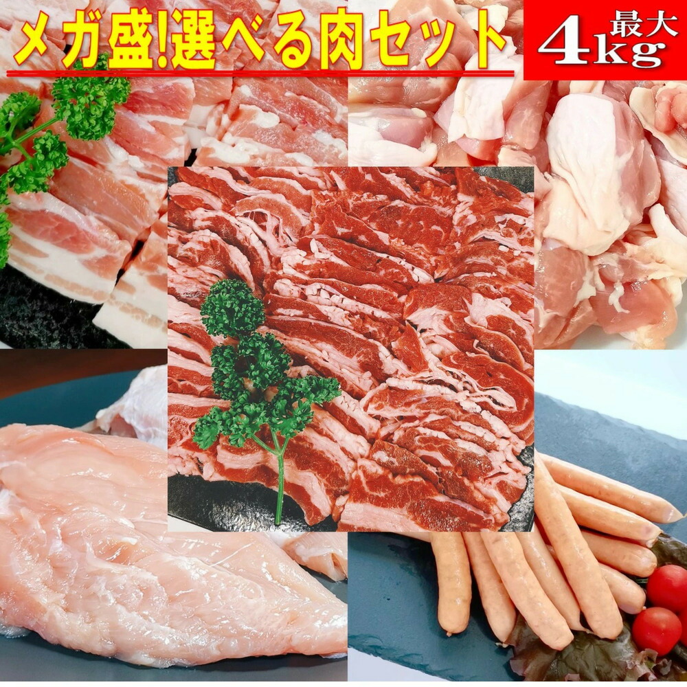 焼肉 焼き肉 バーベキュー 食材 最大4.0kg BBQ 肉 焼肉セット 牛ハラミ 豚バラ 鶏モモ バーベキューセット 食材 肉 BBQ食材セット BBQ 食材 BBQ 焼肉 牛丼 牛肉 唐揚げ 送料無料