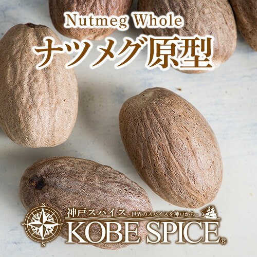 楽天市場 期間限定 ナツメグホール 100g 常温便 輸入 Nutmeg Whole 原型 ナツメグ ホール ニクズク インド スペイン 中華 イタリア スパイス ハーブ 香辛料 調味料 業務用 神戸スパイス 合計1万円以上で送料無料 神戸