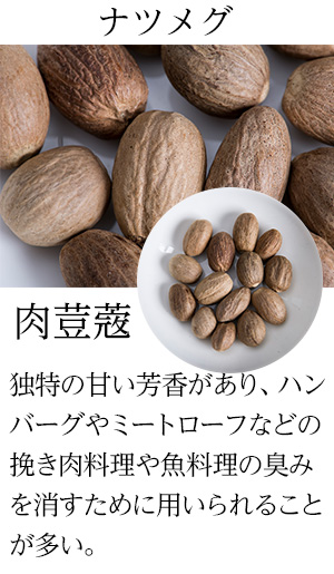 楽天市場 ナツメグホール 50g Nutmeg Whole 原型 ナツメグ ニクズク インド スペイン 中華 イタリア スパイス ハーブ 調味料 業務用 神戸スパイス ゆうパケット送料無料 神戸スパイス