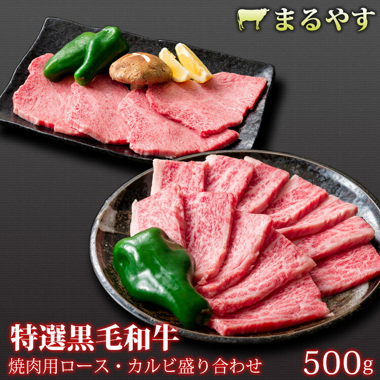 母の日 ギフト グルメ 特選黒毛和牛 焼肉 焼き肉 やきにく 焼肉セット 国産 牛肉 焼肉 焼肉用 カルビ 盛合せ 500g (2～3人前) ランプ ラム モモ A5 特選黒毛和牛 霜降り 国産 和牛 ギフト 牛肉 お取り寄せ グルメ 和牛 肉 送料無料 誕生日プレゼント 内祝い