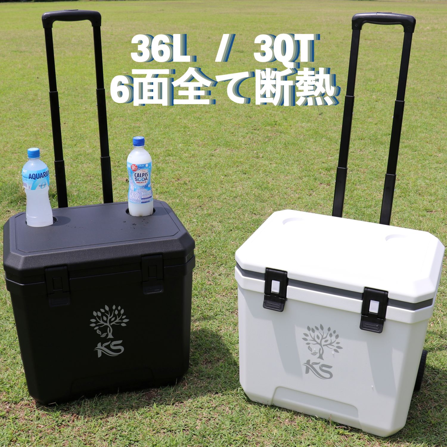 楽天市場】最大10％OFFクーポン 【9/15】 【限定モデル