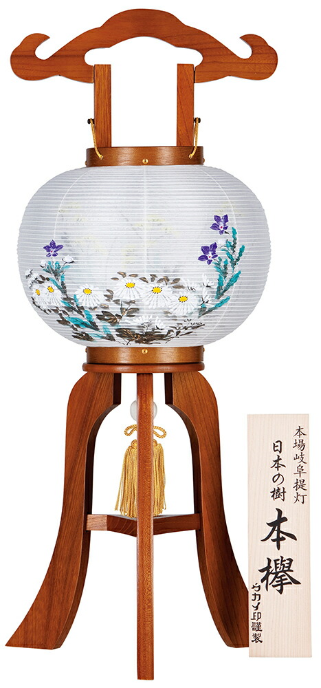 トレイ提灯 置き提灯 銘木工芸行灯 麗人あんどん ベリューム欅 25w 絹布二重イラスト 書き絵 キクの花桔梗 ケヤキ 盆提灯 当風 盆提灯 パウダーコンパクト 盆提灯 ミニ Comotocarviolaohoje Com