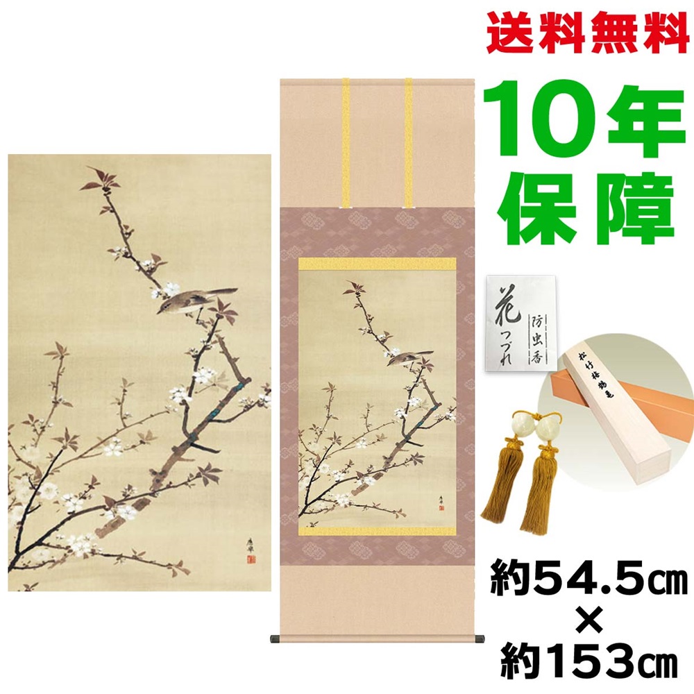 半額sale 桜小禽図 おしゃれ モダン 床の間掛け軸 円山応挙 新絹本 幅54 5 高さ約153 洛彩緞子本表装 912sn Kz3g9 105 Www Schalienhuis Be