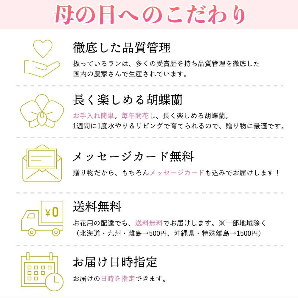 敬老の日 プレゼント 早割 敬老の日ギフト 苔玉 3号鉢植え 1本立てとレモンケーキ2つ 金襴織物の敷物4枚セット 花鉢植え 生花 花鉢 ミニ胡蝶蘭 長持ちする花 お花 花のギフト Kanal9tv Com