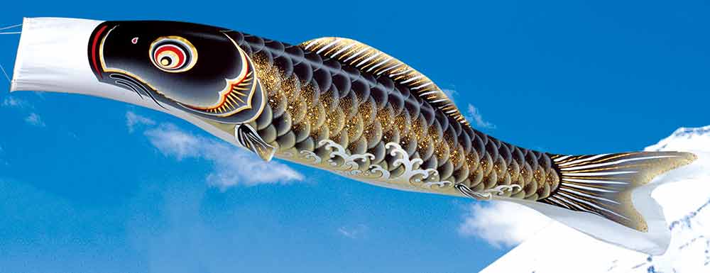 送料無料 即納 鯉のぼり 単品 旭天竜 翔勇 黒鯉 2m こいのぼり Whitesforracialequity Org