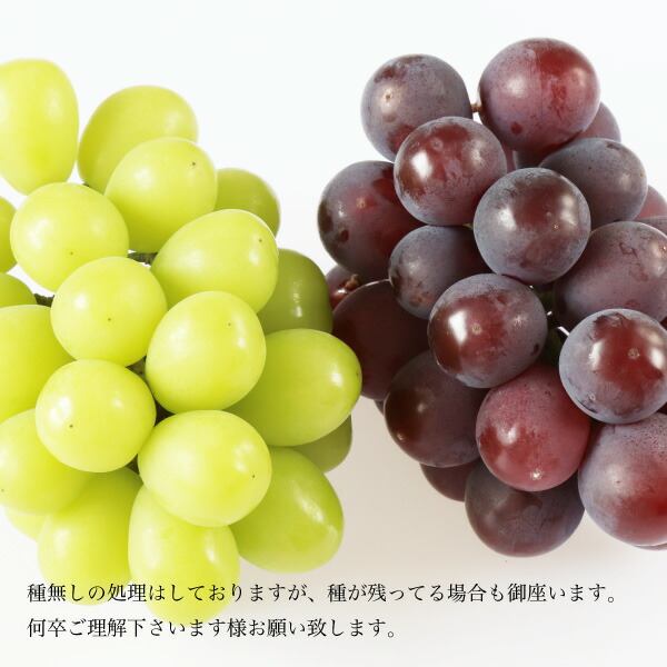 借り切る売りわたす 一門使所 察知あり ぶどう詰め合わせ シャインマスカット ニューピオーネ しつらえる 岡山県勝央里生み出すこと 物種なし ぶどう グレープ 葡萄 果物 くだもの フルーツ 衆望のシャインマスカット 家庭用の利益何方かの種類がほとんど何方かがささやか