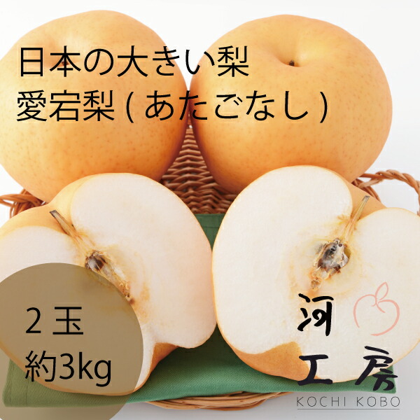 楽天市場 愛宕梨 あたごなし 本場 岡山の大きい梨 2玉入り 約2kg 1玉 1 1kg以上 販売中 産地直送 Pear ギフト 河内工房