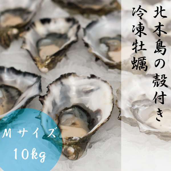 注目の ギフト 牡蠣 Mサイズ 10kg 約126粒-166粒 1粒 約60g-79g 冷凍 殻付き かき 岡山 北木島 1年カキ 加熱用 電子レンジ用  容器付き 取り寄せ fucoa.cl