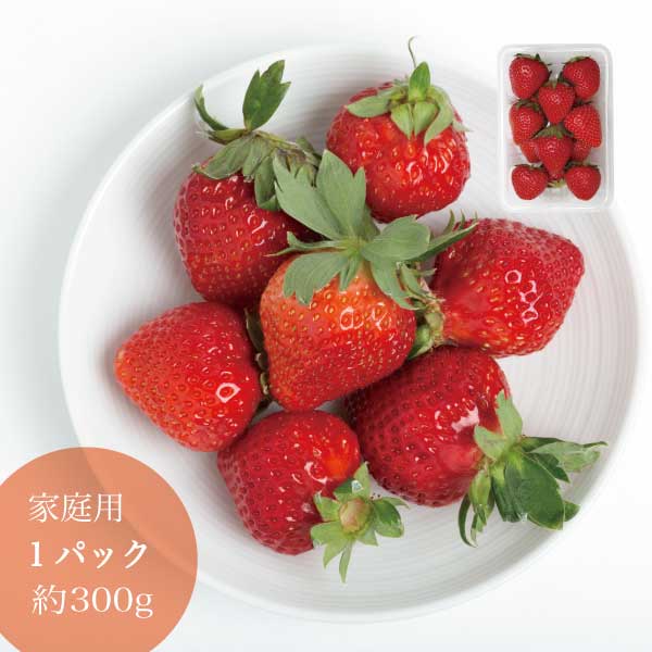 楽天市場 ギフト用 晴れの国 岡山 あまおとめ 苺 いちご イチゴ 2パック24個 約800g Strawberry 取り寄せ 産地直送 土耕栽培 今シーズン全国一律チルド代込み送料無料 河内工房