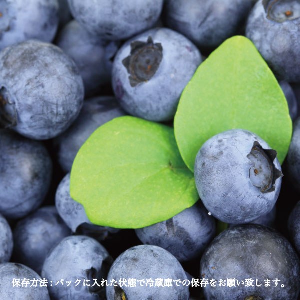 ブルーベリー 生果 ハイブッシュ血筋 生ブルーベリー 8束ね 凡800g 1パック 約100g 国産 岡山県産 フルーツ 果物 差し上物 冷やか書牘 Lanuitdessoudeurs Fr