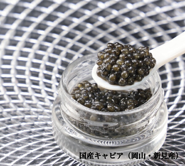 国産キャビア 希少 蝶鮫 新見フレッシュ 15g 岡山県産蝶鮫卵使用 非加熱 塩分5% ギフト対応 冷凍発送