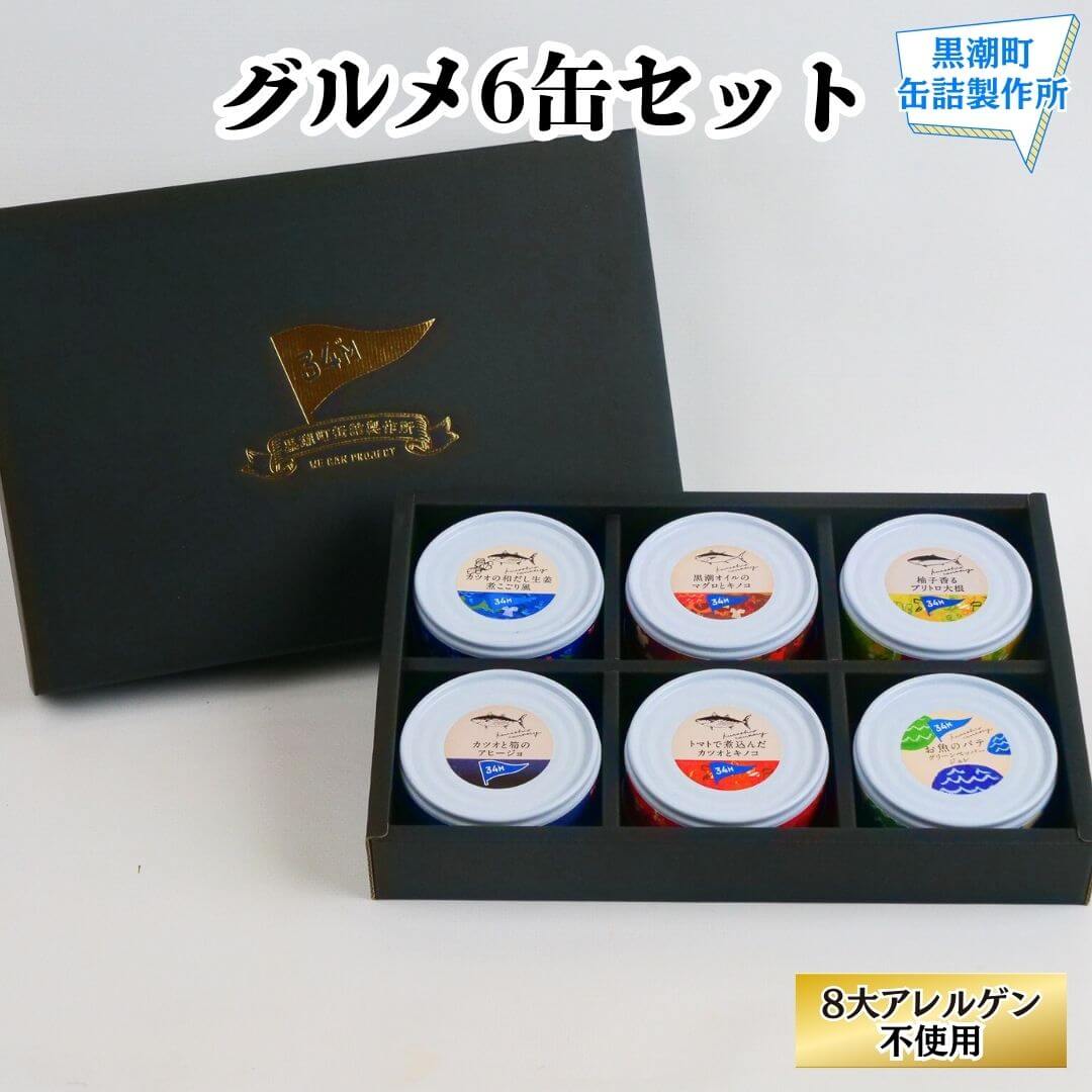 缶詰 詰め合わせ セット グルメ6缶 防災 国産 保存食 おかず おつまみ 缶詰め 備蓄 日持ち 送料無料 ギフト 贈り物 お取り寄せ 高知 黒潮町 常温 ご飯 お供 鮎 ポーク 通販 食べ物 災害対策 防災セット 非常食 4,163円