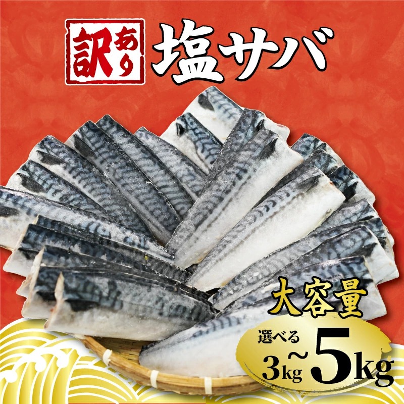 訳あり 塩サバ フィーレ 【選べる内容量】 3kg 3.5kg 5kg 鯖 さば 大容量 人気 規格外 贈答 贈物 プレゼント ギフト お取り寄せ グルメ 焼鯖 惣菜 魚 海鮮 魚貝 魚介 冷凍 冷凍食品 送料無料 千葉県 銚子市 銚子東洋