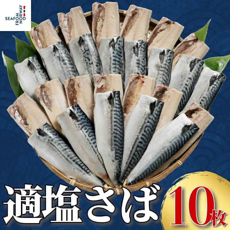 適塩さば