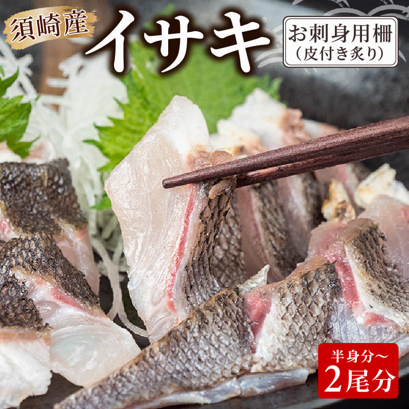 イサキ 皮付き 炙り 半身 ロイン 半身分～2尾分 いさき 高知県 須崎市 鮮魚 お刺身 お手軽 簡単 調理 珍しい 魚 高級魚 白身魚 家庭用 漬け丼 カルパッチョ 料理 送料無料 冷凍 新鮮 贈答 お祝い ギフト 贈り物