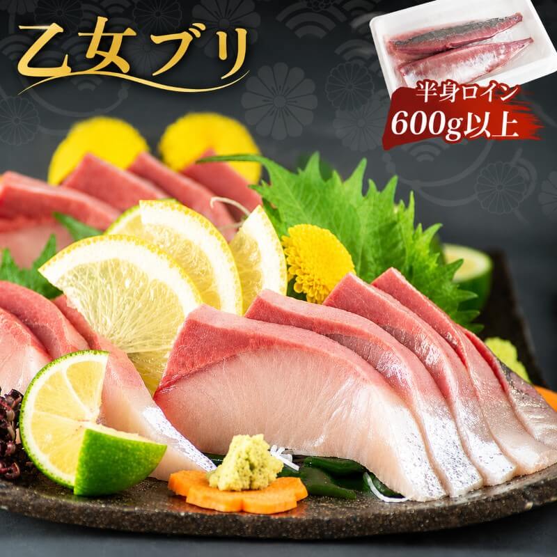 【送料無料】 乙女鰤（おとめブリ）半身分 お刺身用 柵 600g 以上 ブリ 高知県産 冷蔵 新鮮 高級 ごちそう しゃぶしゃぶ 漬け丼 小島水産 鮮度抜群 お買い物マラソン 父の日 プレゼント お中元 産地直送 お取り寄せ｜かわうそ市場　店