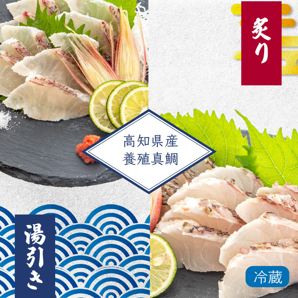 高知県産真鯛の炙り 湯引きセット １尾分 タイ 新鮮 ごちそう 高級 刺身