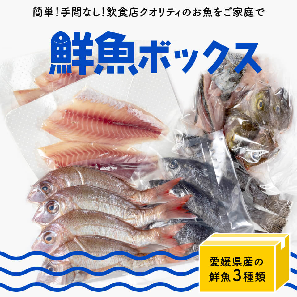 【送料無料】 季節のお勧め鮮魚BOX（約4人前）【下処理済み】<br> 魚 おすすめ 愛媛県 メバル、鯛、サワラ、太刀魚、オコゼ、イサキなど【嶋矢水産厳選】 お買い物マラソン 父の日 プレゼント お中元 お歳暮 正月 産地直送 お取り寄せ