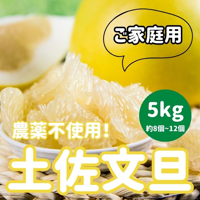 【楽天市場】【送料無料】【高知県産】「農薬をまいていない！土佐文旦（5kg、約8個-12個)ご家庭用」 期間限定 土佐名産会 土佐 土佐文旦