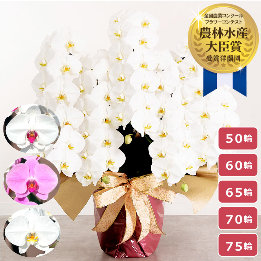 百貨店SALE特設ペイジ
