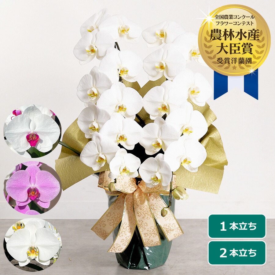 百貨店SALE特設ペイジ