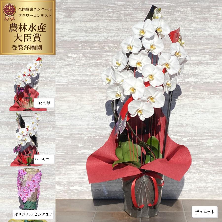 百貨店SALE特設ペイジ