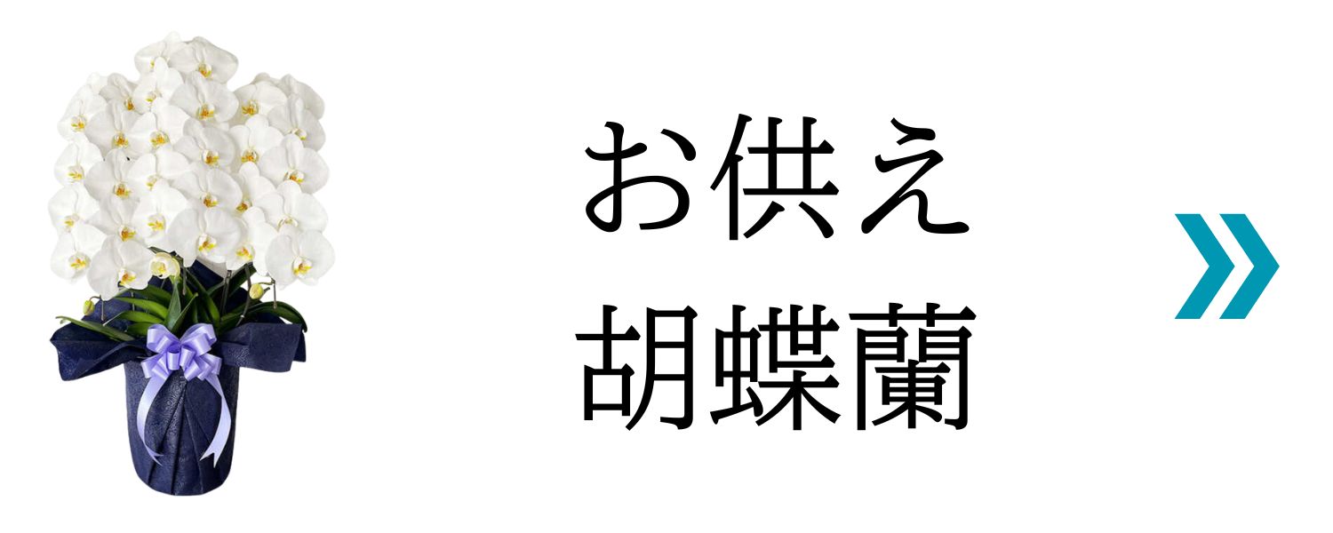 彩華のワルツ ギフトセット 胡蝶蘭