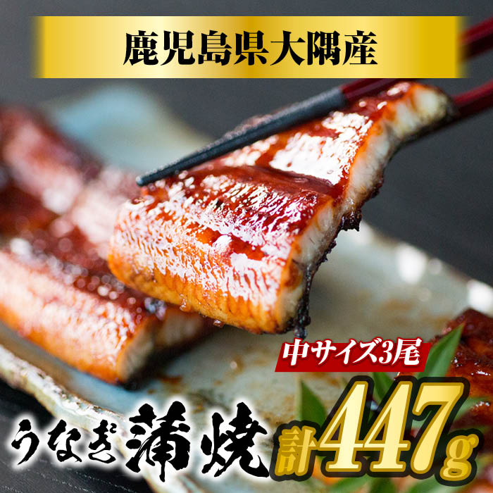 国産うなぎ蒲焼き（149g×3尾）鹿児島県産 母の日 父の日 土用丑の日 お中元 ギフト 贈り物 真空パック 人気うなぎ うなぎレシピ