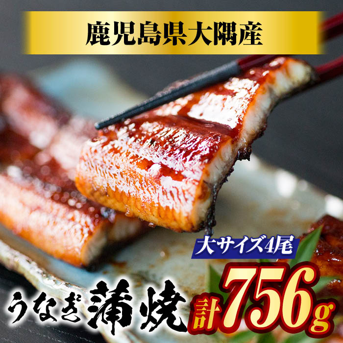国産うなぎ蒲焼き（189g×4尾）鹿児島県産 母の日 父の日 土用丑の日 お中元 ギフト 贈り物 真空パック 人気うなぎ うなぎレシピ