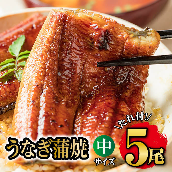 国産うなぎ蒲焼き（149g×5尾）鹿児島県産 母の日 父の日 土用丑の日 お中元 ギフト 贈り物 真空パック 人気うなぎ うなぎレシピ