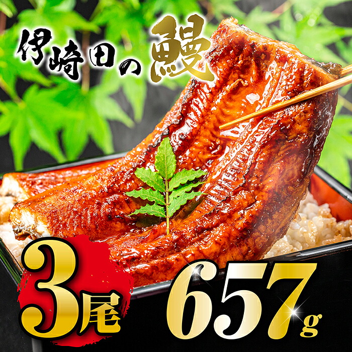 国産うなぎ蒲焼き（219g×3尾）鹿児島県産 母の日 父の日 土用丑の日 お中元 ギフト 贈り物 真空パック 人気うなぎ うなぎレシピ