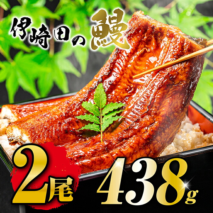 国産うなぎ蒲焼き（219g×2尾）鹿児島県産 母の日 父の日 土用丑の日 お中元 ギフト 贈り物 真空パック 人気うなぎ うなぎレシピ