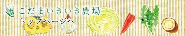 楽天市場】【業務用】こだま食品 無添加かぼちゃパウダー北海道産 1kg : こだまいきいき農場