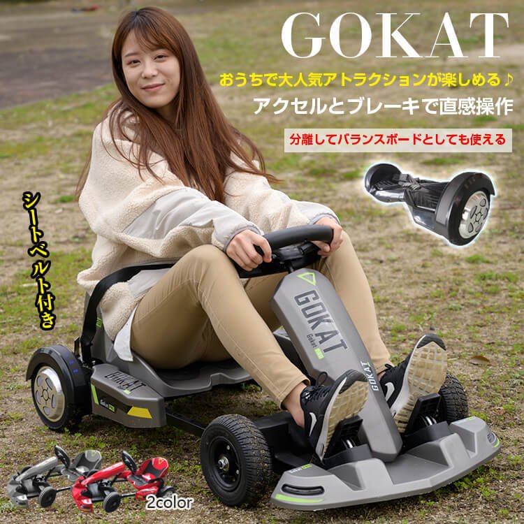 カート 電動 ボード フレーム ホイール バランス 遊園地 アトラクション