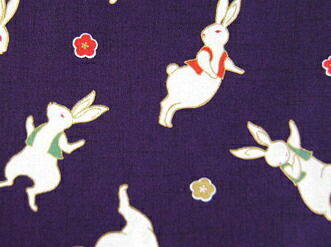 市場 ふんどし 黒猫褌 うさぎ パンツ メンズ ビキニ ｔバック