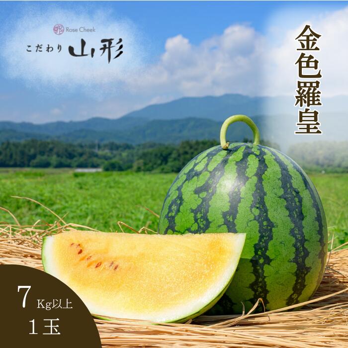 【予約開始 7月下旬以降順次発送予定】金色羅皇 スイカ 大玉 山形県産  村山 7kg以上 種少ない ギフト 贈答用 山形 すいか