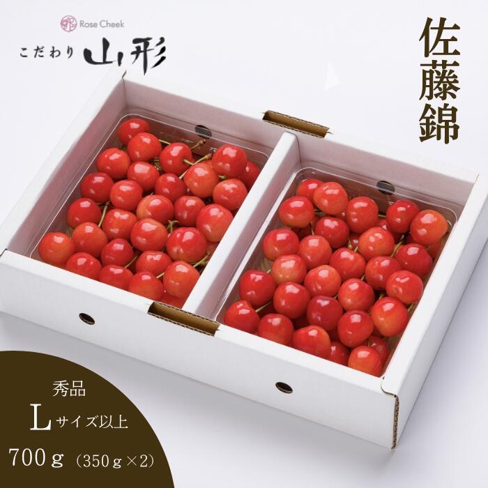 さくらんぼ 佐藤錦 山形県産 天童 Lサイズ以上 秀品 700ｇ ギフト 贈答用 6月中旬頃順次発送予定