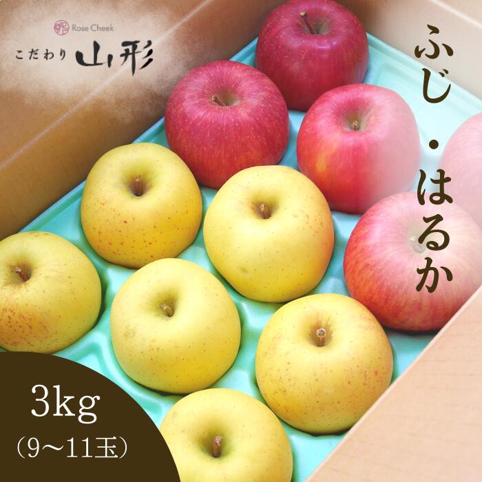 りんご ふじ はるか 山形県産 天童 食べ比べセット 3kg 蜜入り ギフト お歳暮 家庭用 11月下旬以降順次発送予定