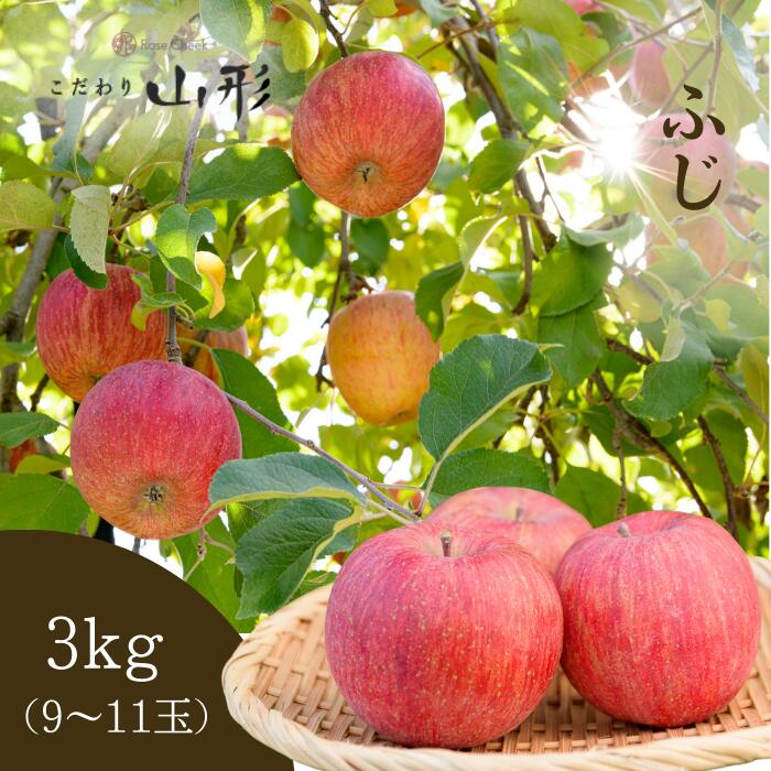 りんご ふじ 山形県産 天童 3kg ギフト 贈答用 家庭用 11月下旬頃順次発送予定
