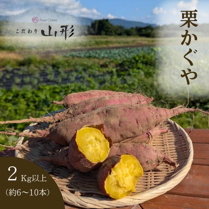 楽天市場】送料無料 頴娃町産さつまいも 栗かぐや 2kg 蜜芋 くりかぐや