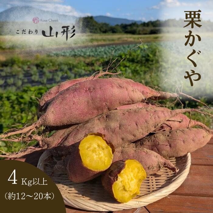 楽天市場】茨城県産 （マルデ） さつまいも 栗かぐや A等級 Mサイズ 約