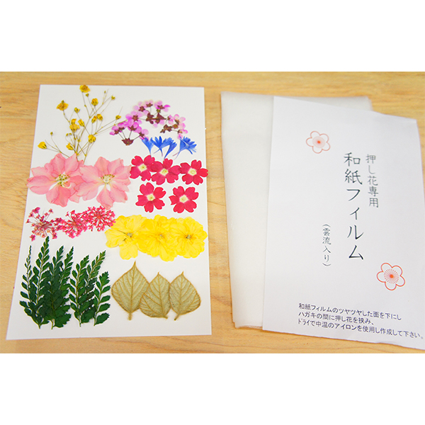 楽天市場 押し花 はがき 年賀状 手作り ポストカード アイロン 簡単 日本製 はがき用押し花キット こだわり雑貨本舗